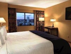 Pets-friendly hotels in Laughlin