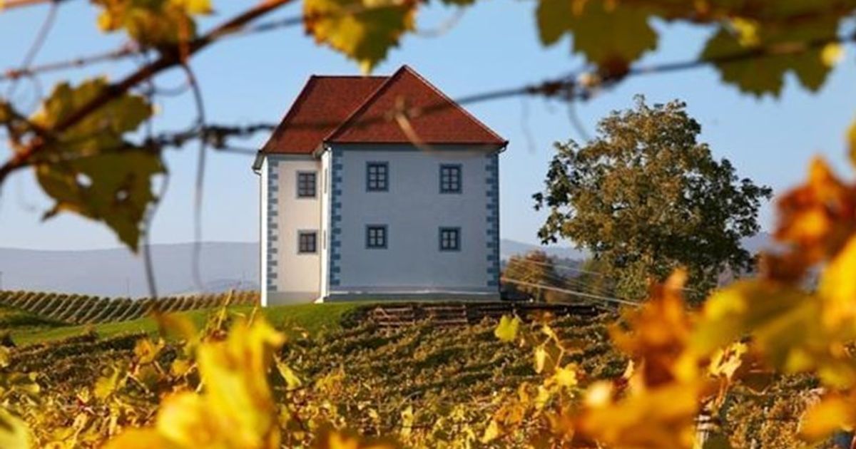 Wine Grower's Mansion Zlati Gric