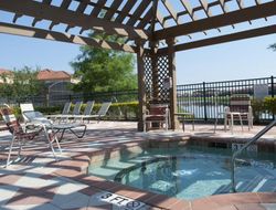 Pets-friendly hotels in Orlando