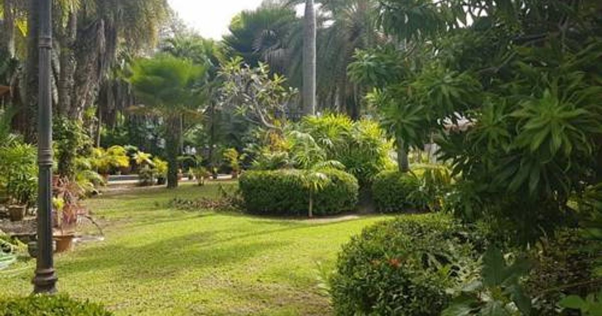 Palm Villa And Pool