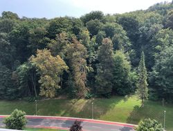 Отели Словении с панорамными видами