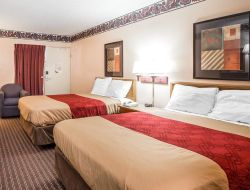 Pets-friendly hotels in McDonough