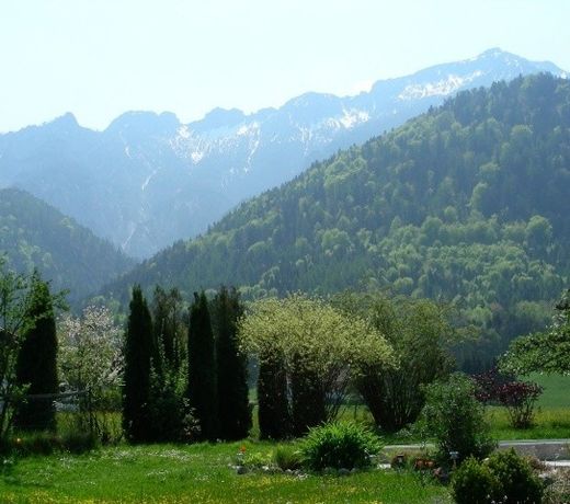 Fewoguder