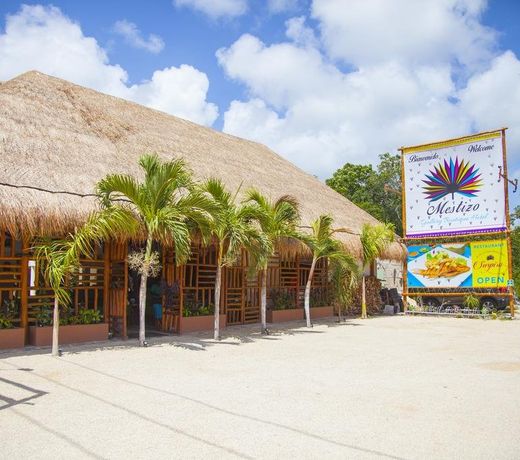 Mestizo Gallery