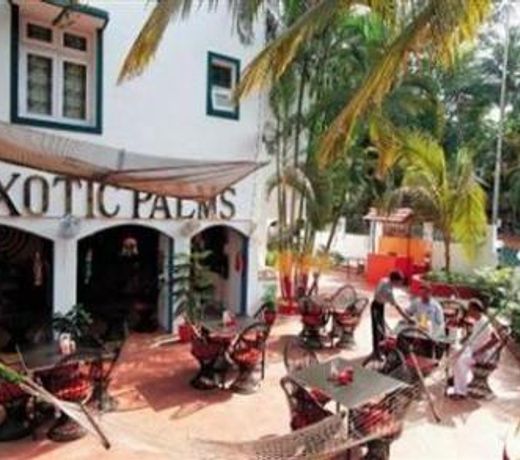 EXOTIC PALMS