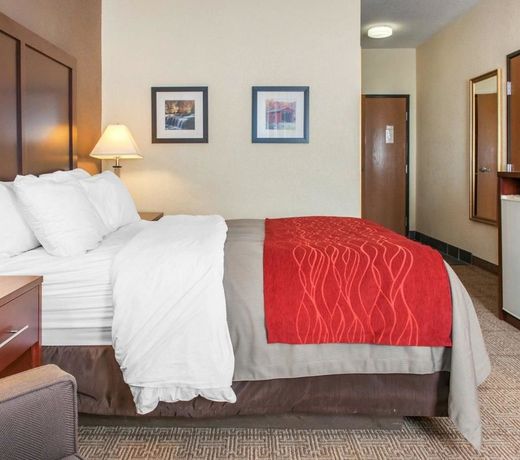 Comfort Inn Warren I-69