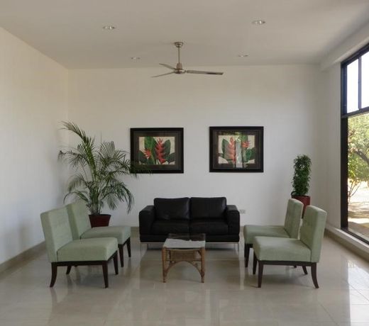 Hotel Brandt Ejecutivo Colonial Los Robles
