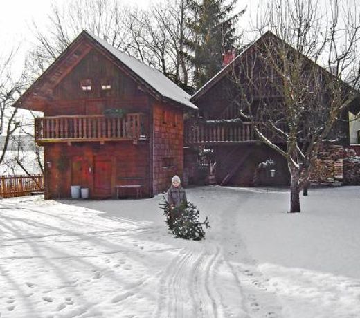 Chalet Troadkasten by Interhome