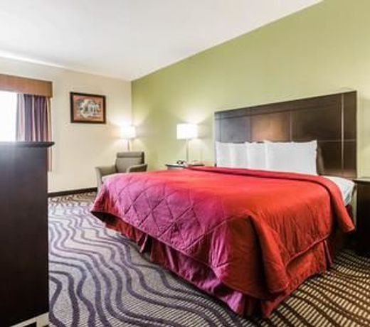Quality Inn & Suites near Coliseum and Hwy 231 North