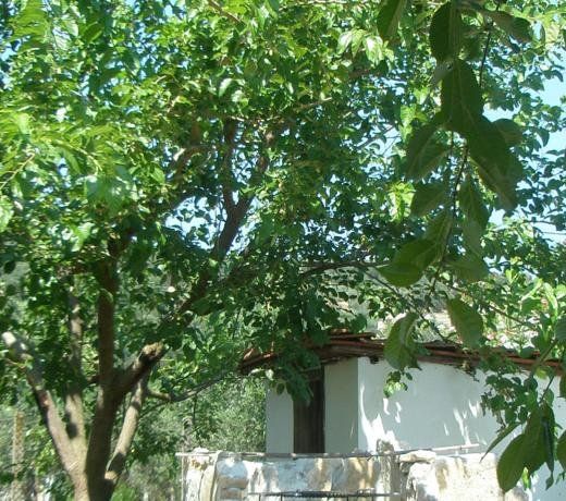 I Sapori Del Gargano