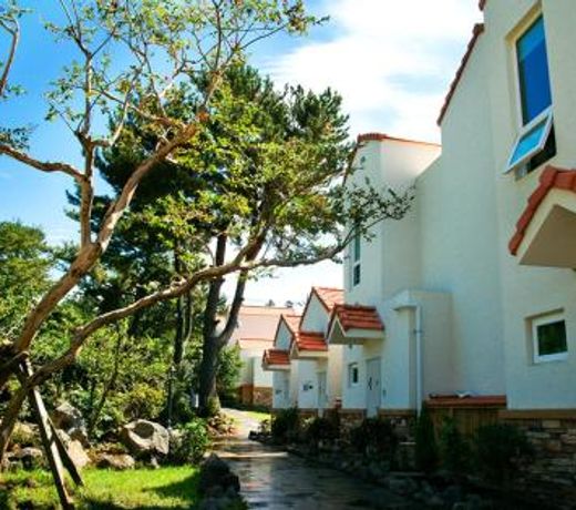 Jeju Memory Pension