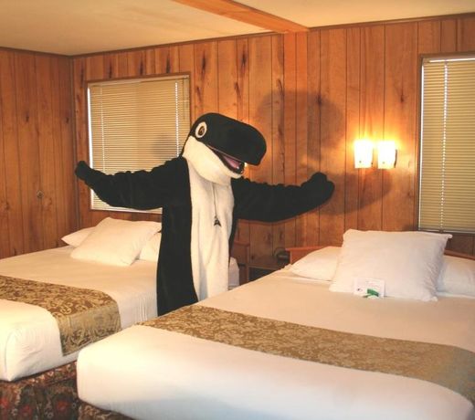 The Orca Inn