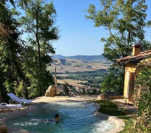 B&B Cal Torello