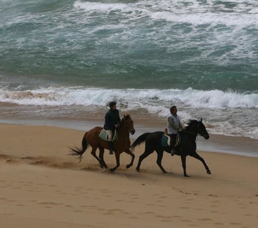 Centro di Turismo Equestre SHANGRILA'