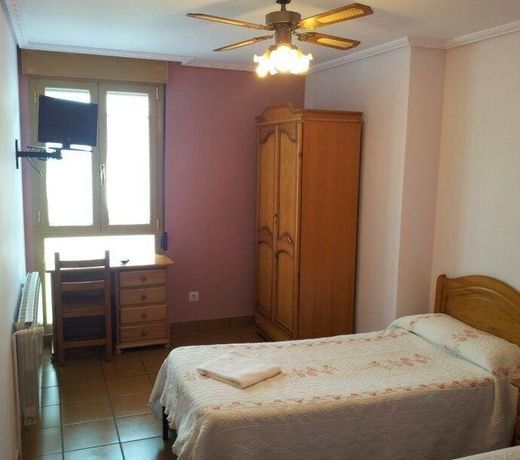 Hostal Ardoi
