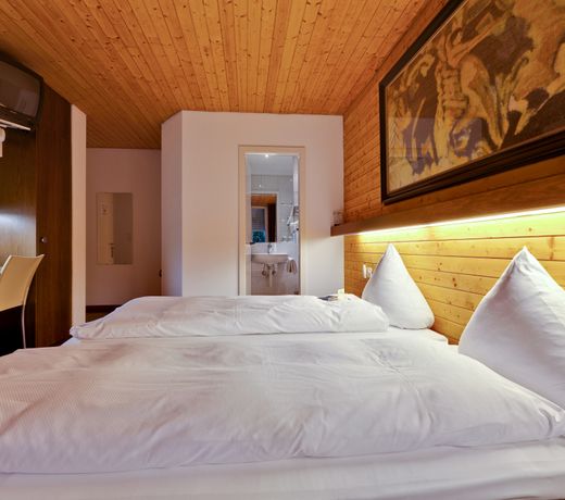 Hotel Limmatblick