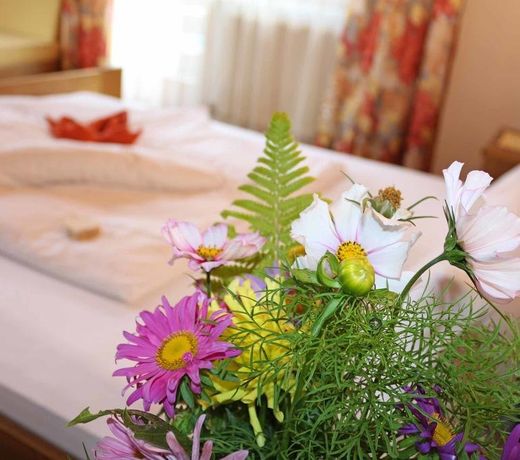 Pension Aloisl`s Harmonie