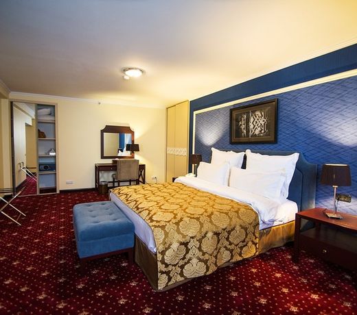 Ani Plaza Hotel