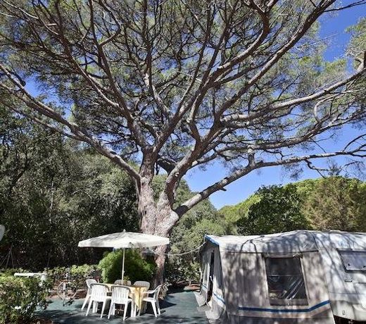 Stella del Mare Family Camping Village