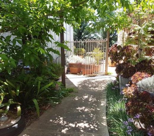 Little Para Cottage Tanunda