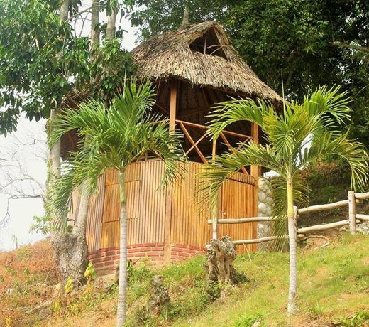 EcoHostal Palmares Del Rio