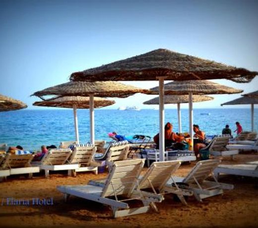 Elaria Hotel Hurgada