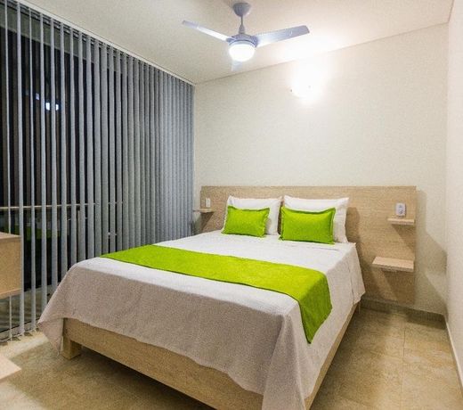 Natural Hotel de La Vega