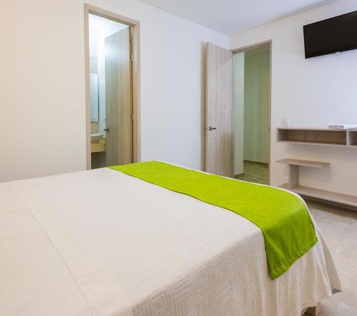 Natural Hotel de La Vega