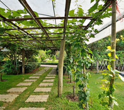 Aonang Fiore Resort - SHA Extra Plus