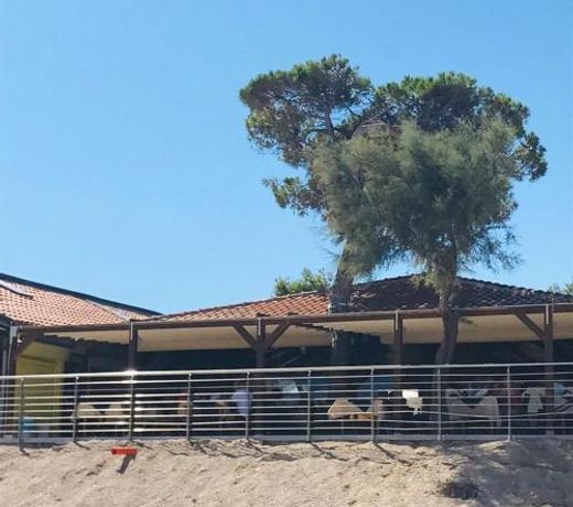 Camping La Pineta