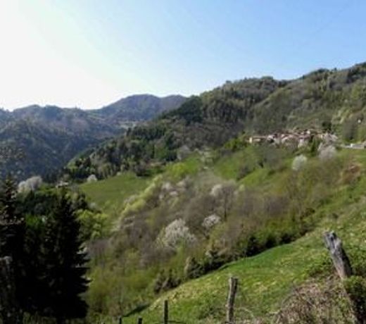 Piccolo Tibet B&B