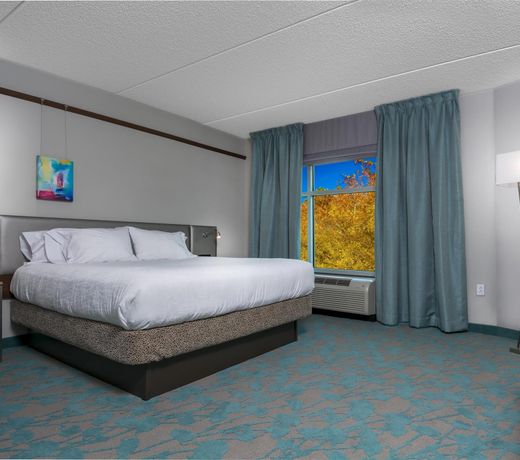 Hilton Garden Inn Asheville Downtown
