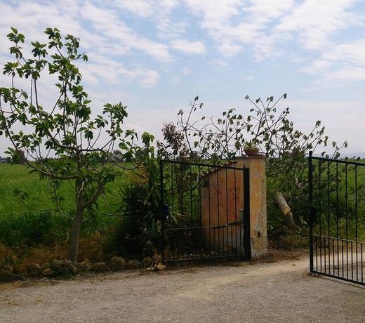 Appartamento Il Salice