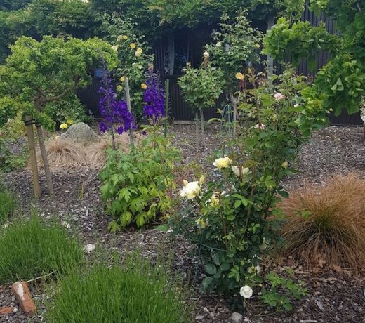 Alpine Rock B&B