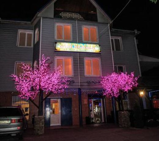 Hotel "Magnoliya"