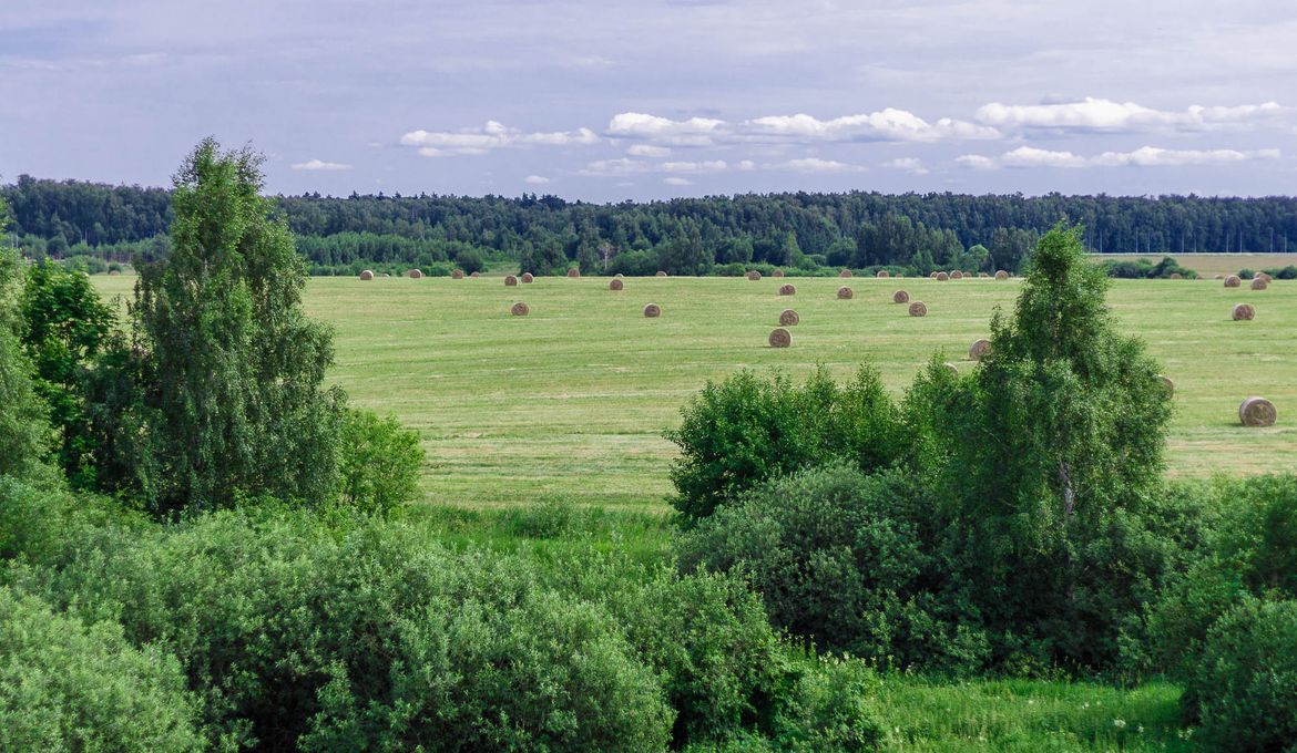 Гостиница «Планерная»