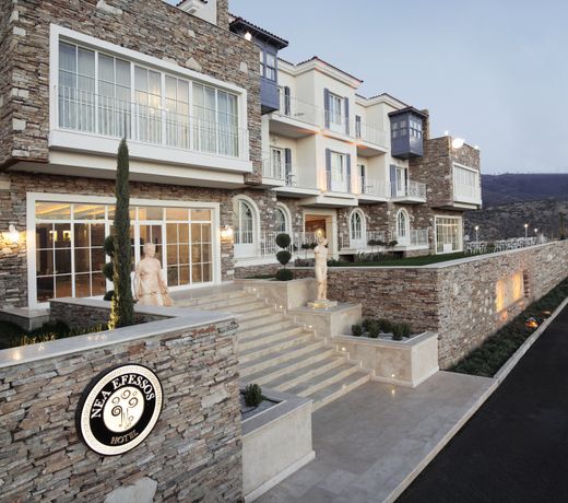 Vinifera Ephesus Hotel