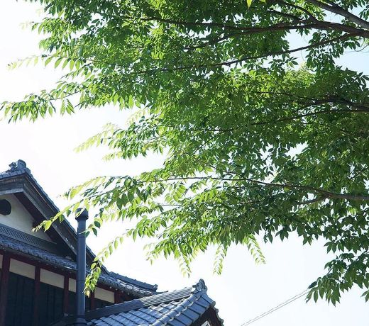 Cafe & Guesthouse Name Came Ono