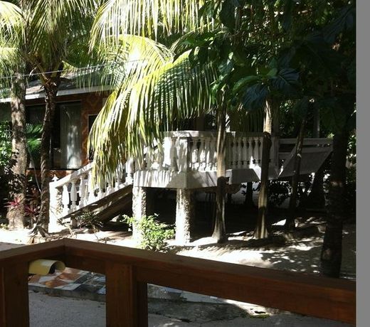 Coconut Tree West Bay