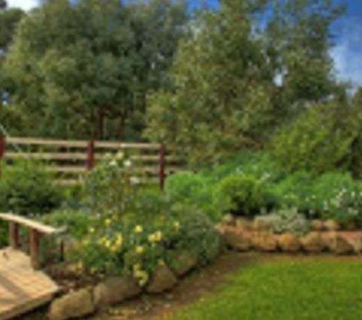 Peppermint Springs Retreat & Day Spa