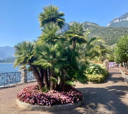 Le Quattro Stagioni Lakeview