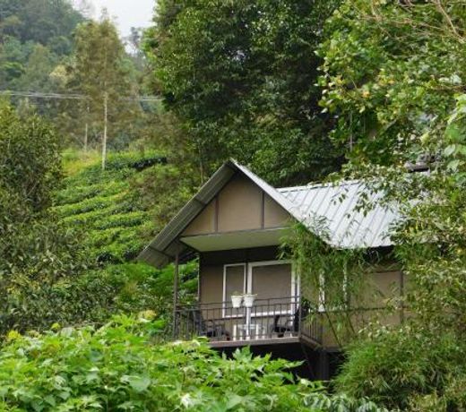 Moselberg Riverside Cottages
