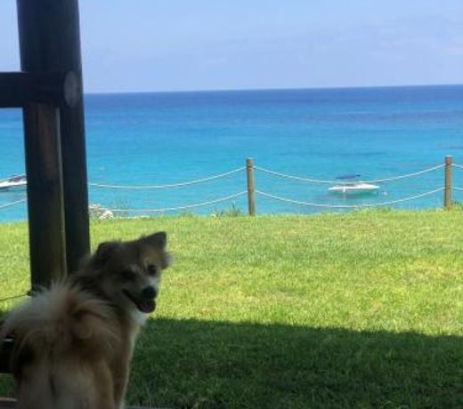Mythical Sands Resort - Good Vibes Apartment