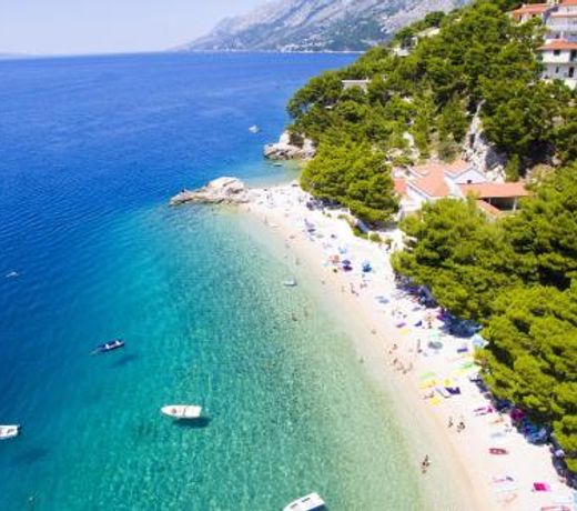 Apartments by the sea Brela, Makarska - 6007