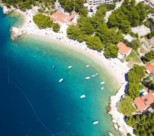 Apartments by the sea Brela, Makarska - 6007