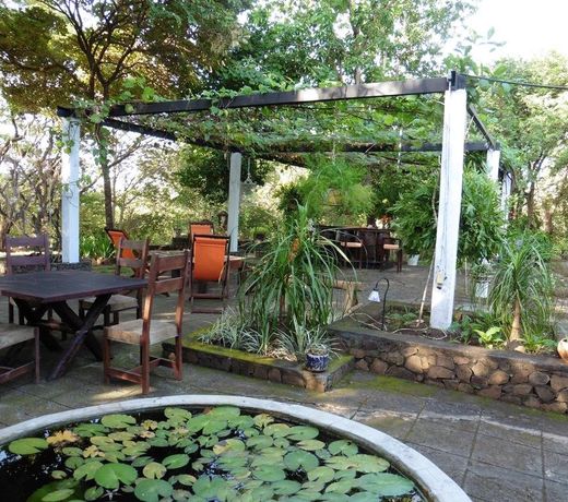 Hato Nuevo Ecolodge