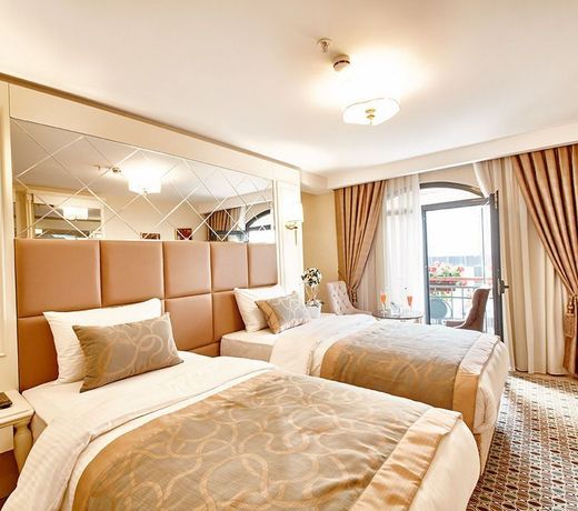 Beethoven Hotel - Special Category