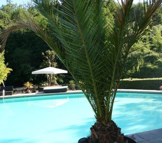 Villa Mulino di Bacchereto