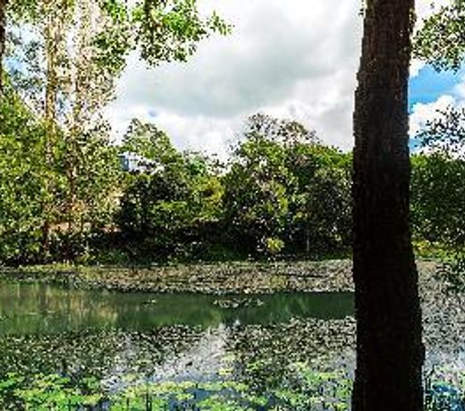 Maleny Wildlife Holiday House