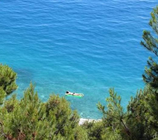 Apartments by the sea Brela, Makarska - 6689